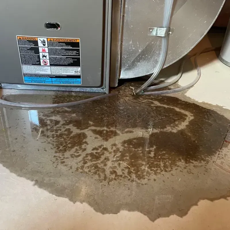 Appliance Leak Cleanup in Key Largo, FL